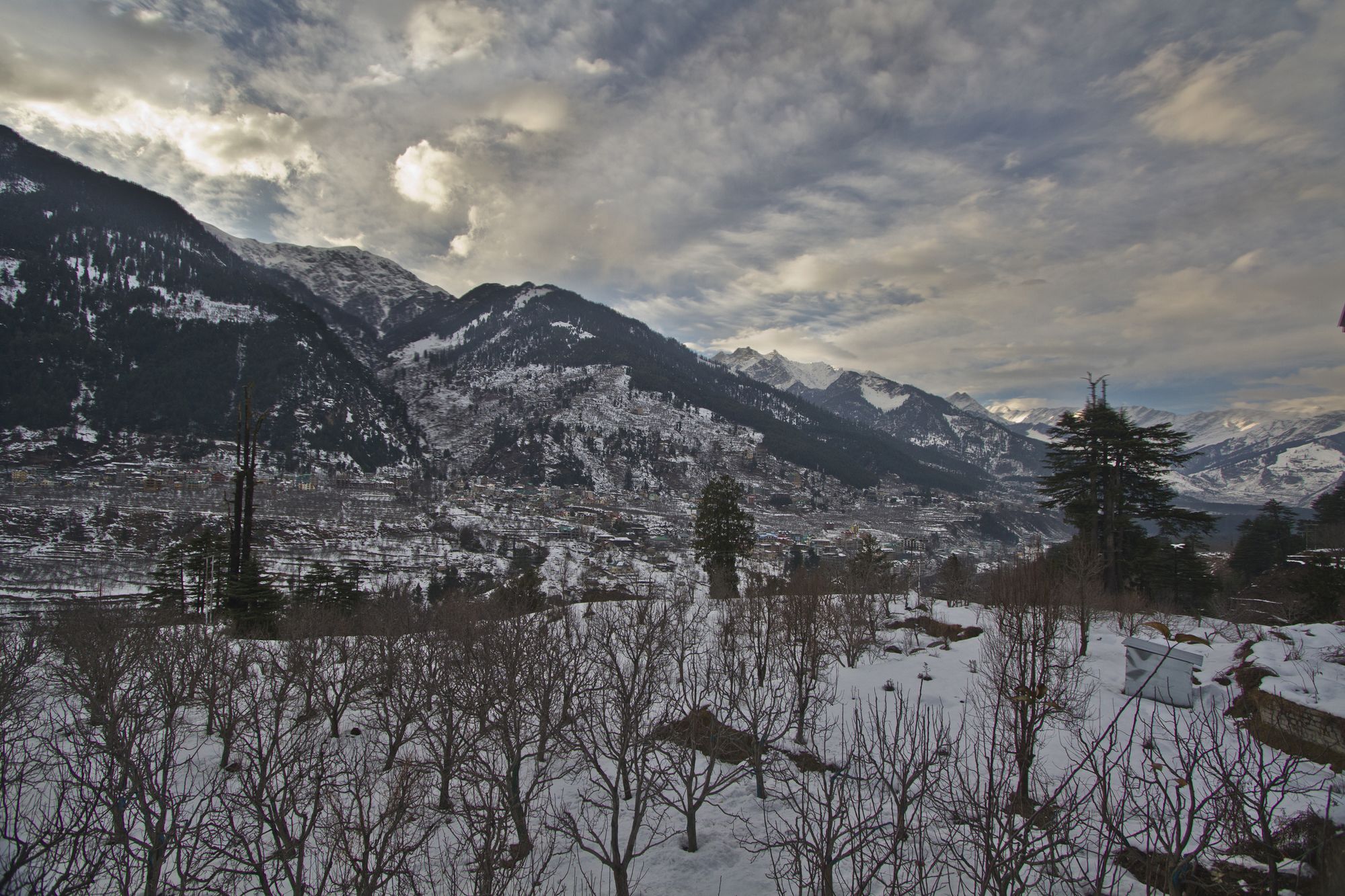 Hotel Mountain Face Manali  Bagian luar foto